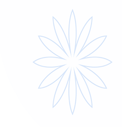 B体育-在线登录入口_B体育手机网页版_B体育网页版登录