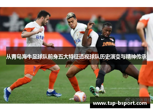 从青岛海牛足球队前身五大特征透视球队历史演变与精神传承 从青岛海牛足球队前身五大特征透视球队历史演变与精神传承