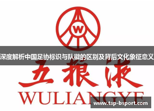 深度解析中国足协标识与队徽的区别及背后文化象征意义 深度解析中国足协标识与队徽的区别及背后文化象征意义