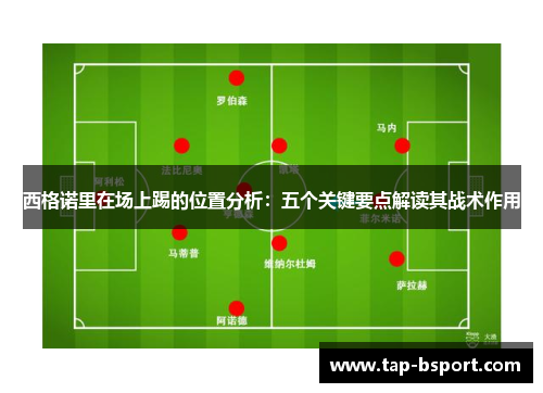 西格诺里在场上踢的位置分析:五个关键要点解读其战术作用 西格诺里在场上踢的位置分析:五个关键要点解读其战术作用