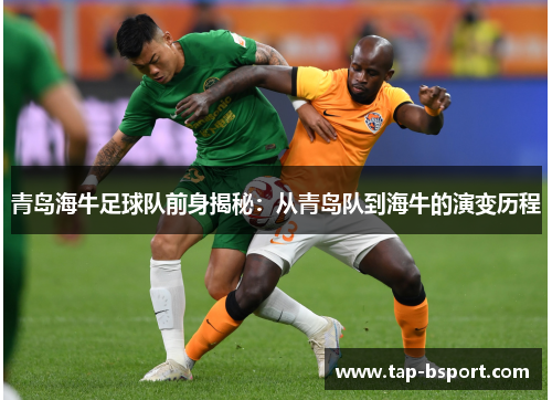 青岛海牛足球队前身揭秘:从青岛队到海牛的演变历程 青岛海牛足球队前身揭秘:从青岛队到海牛的演变历程