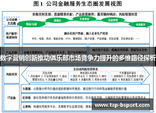 数字营销创新推动俱乐部市场竞争力提升的多维路径探析 数字营销创新推动俱乐部市场竞争力提升的多维路径探析