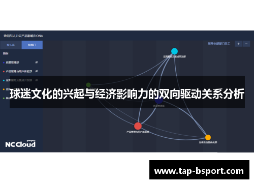球迷文化的兴起与经济影响力的双向驱动关系分析