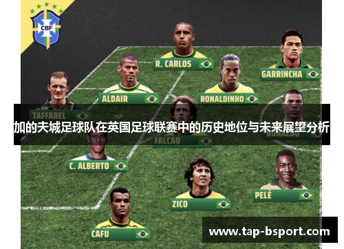 加的夫城足球队在英国足球联赛中的历史地位与未来展望分析 加的夫城足球队在英国足球联赛中的历史地位与未来展望分析