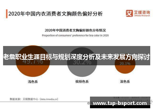 老詹职业生涯目标与规划深度分析及未来发展方向探讨